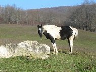 za poveanje kliknite na sliku